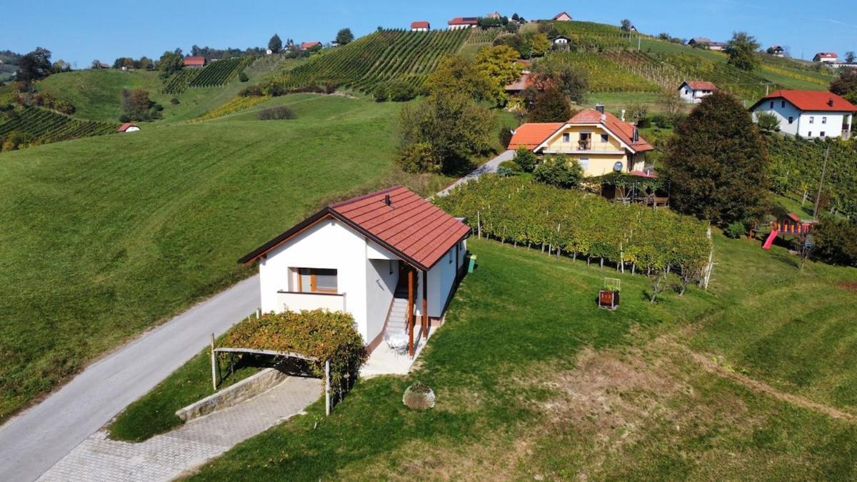 Holiday House Zlacka Gorca Pristava pri Mestinju Exterior photo