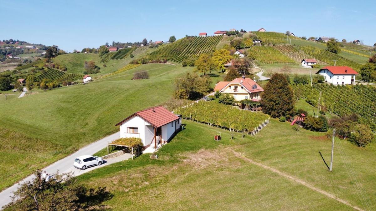 Holiday House Zlacka Gorca Pristava pri Mestinju Exterior photo