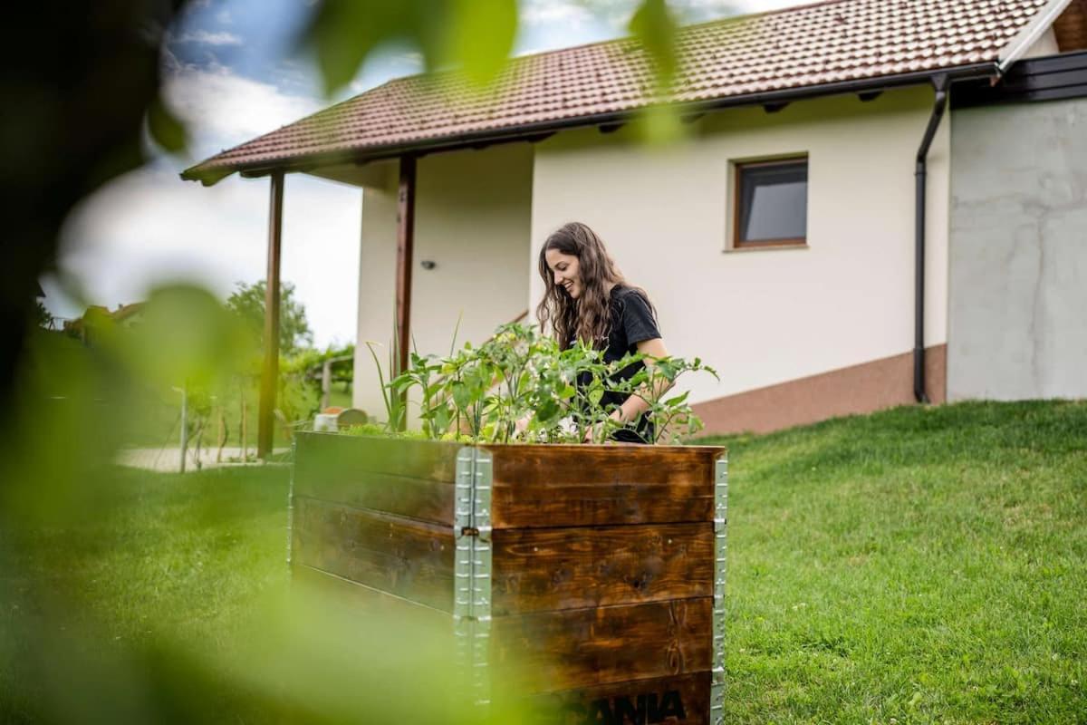 Holiday House Zlacka Gorca Pristava pri Mestinju Exterior photo